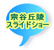 @Ju XChV[